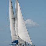 Calliope sailing